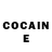КОКАИН Fish Scale Elium Lab